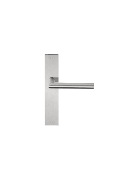 BASICS LBII-19P236 IN